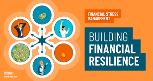 Financial Resilience and Emergency Preparedness